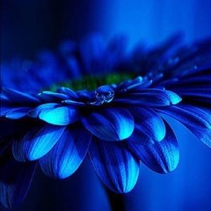 Meet your Posher, Yesenia